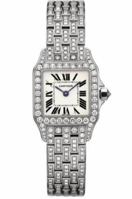 Best Cartier Santos De Cartier watch WF9003YA on sale